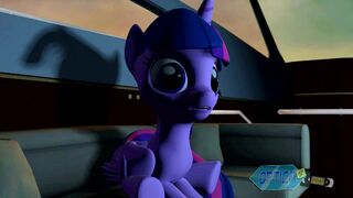 SFM Cruise Cuisine (Scat)