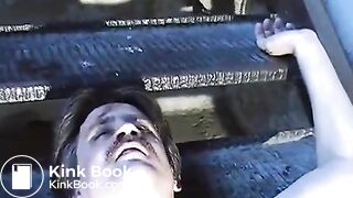 scat feeding on the stairs