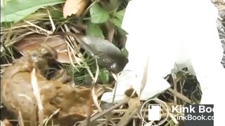 japanese outdoor pooping - video 3