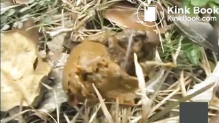 japanese outdoor pooping - video 3