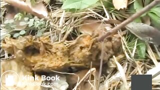 japanese outdoor pooping - video 3