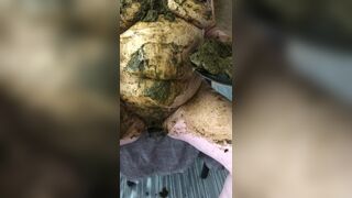 Mature bbw wife enjoys scat and manure