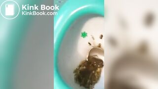 Breaking your friends Toilet!