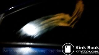 Two girls smear poop on car windows and door handle.