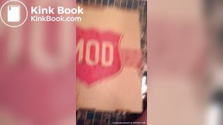 Pooping on a pizza box