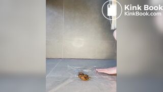 Blonde With Thick Booty Shitting For You Compilation (Part 6)