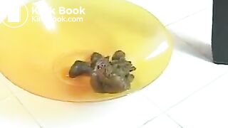 Paige - Sticky Poop Dirty Butthole