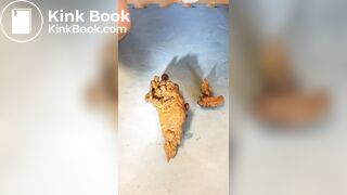 Random Poop Compilation Collective.. - video 9