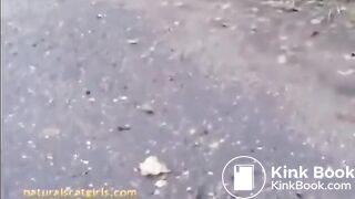 Fast pooping on the wet road