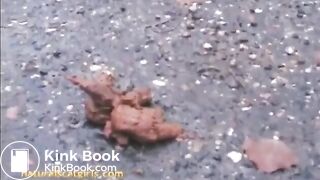 Fast pooping on the wet road