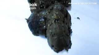 Scat620