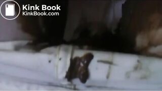 Panty Poop _٩( ᐛ )و