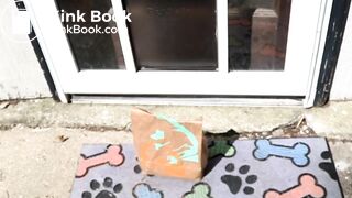 Woman toilet eat and shit