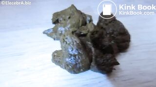 Solo Scat & Swallow - ∑ƖeϲaϦra (2)