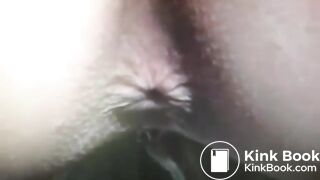 Scat541