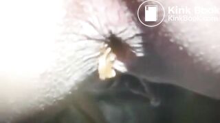 Scat541