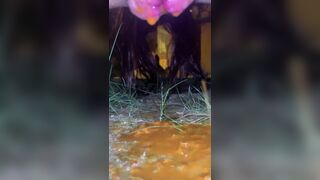 Outdoor poop - video 11