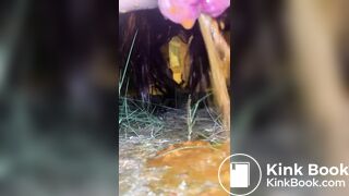 Outdoor poop - video 11