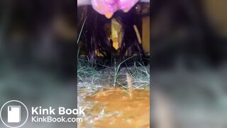 Outdoor poop - video 11