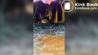 Outdoor poop - video 11