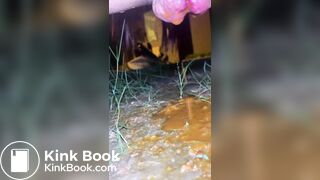 Outdoor poop - video 11