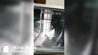 Girl pooping cctv