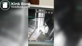 Girl pooping cctv