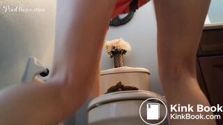 she pooped on the toilet lid