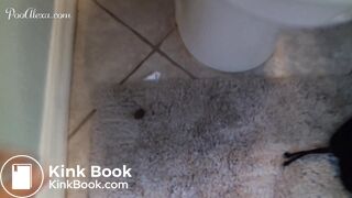 she pooped on the toilet lid