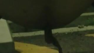 outdoors shitting unusual cleaning 046 (drunk girl delivers enormous shit)