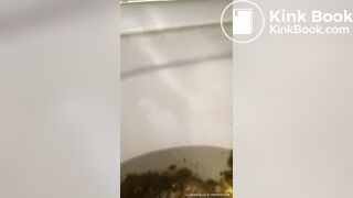 Anal heiress returns