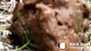 Pretty japanese girls shitting 2