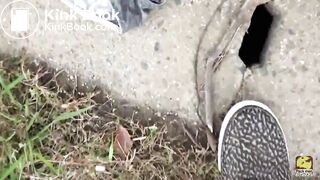 Pretty japanese girls shitting 2