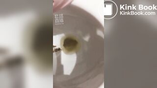 ting儿toilet slave