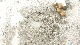 F15-16 - Bikini, Assaulted After Caught Pissing or Pooping (part 3)