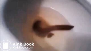 a long snake of poop ! finished product shown !