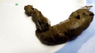 pooping lunch