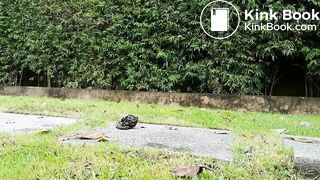 big piece of shit outdoors