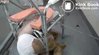 VICIOUS ASIAN TOILET FEEDING PT.5