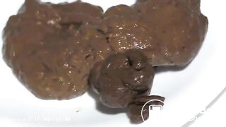 Scat239