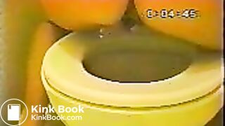 Another Janet over the toilet