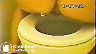 Another Janet over the toilet