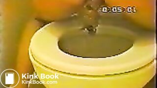 Another Janet over the toilet