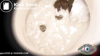 ... ぴーぴんぐカフェトイレ おまる座りでウンチする女たち