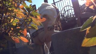 japanese pooping outdoor - video 5