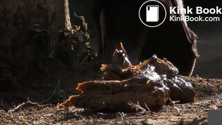 japanese pooping outdoor - video 5