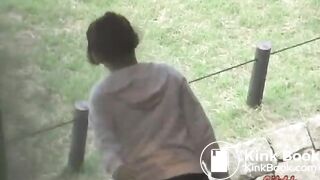 Many flies on Jap girl poop