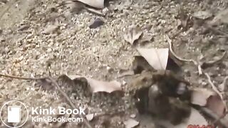 Many flies on Jap girl poop