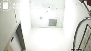 4 Japanese toilet hidden pooping