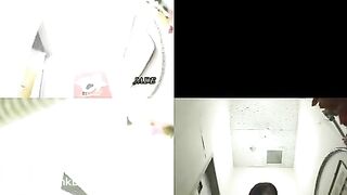 4 Japanese toilet hidden pooping